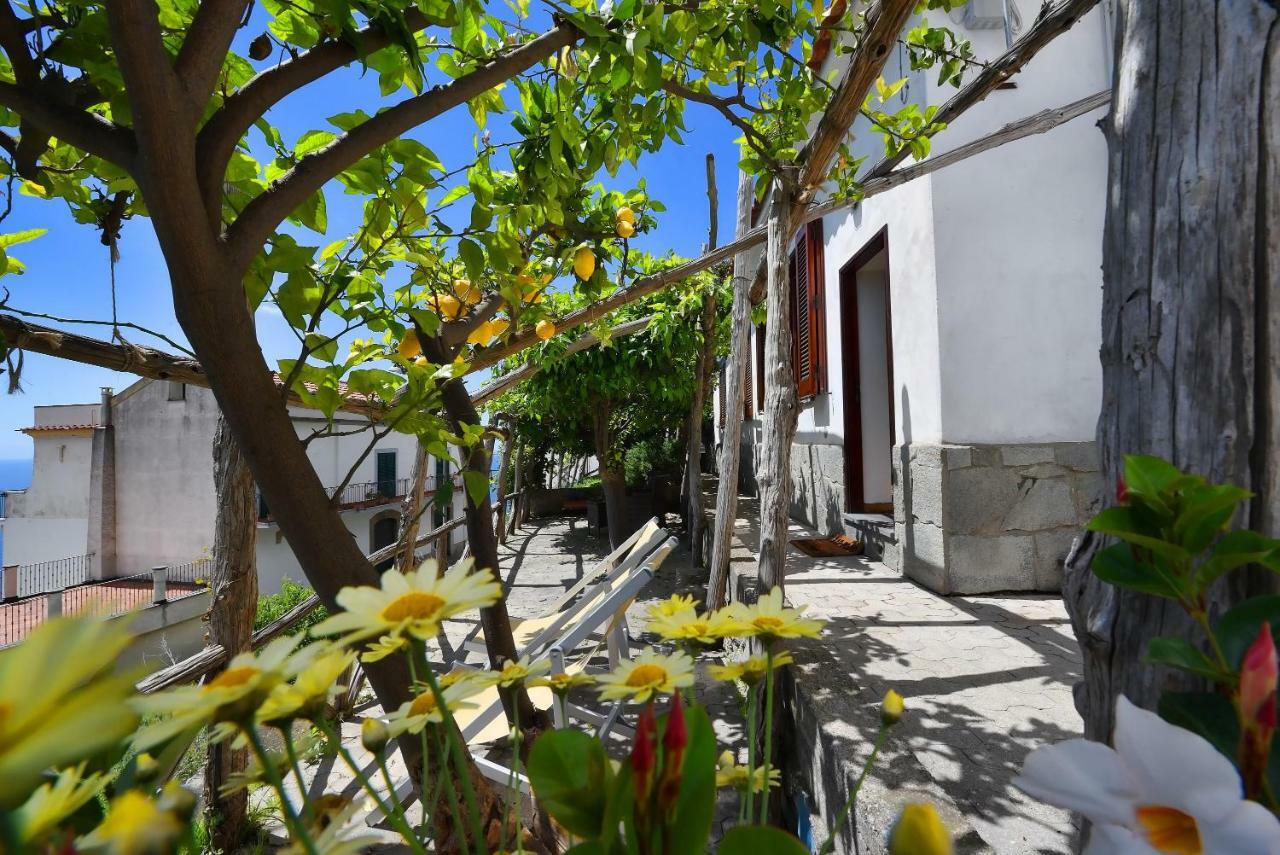 Dama Di Cuori Villa Конка деи Марини Екстериор снимка
